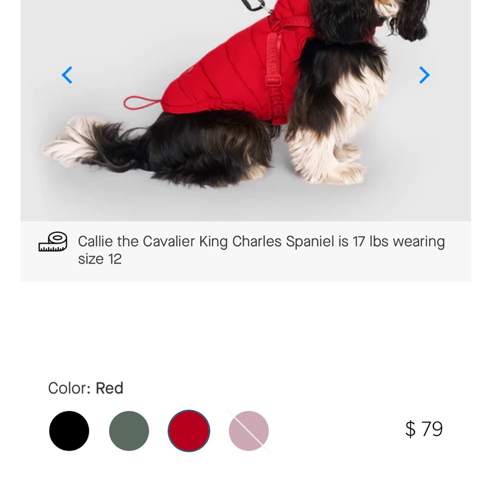 Canada Pooch Red harness jacket